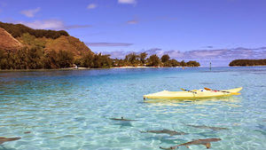 Meet your Posher, Sam